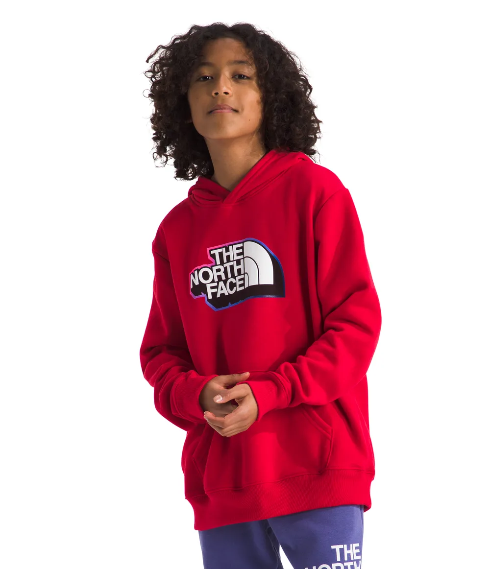 Boys' The North Face Youth Camp Hoodie